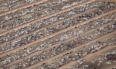 unep.2010.jpg
